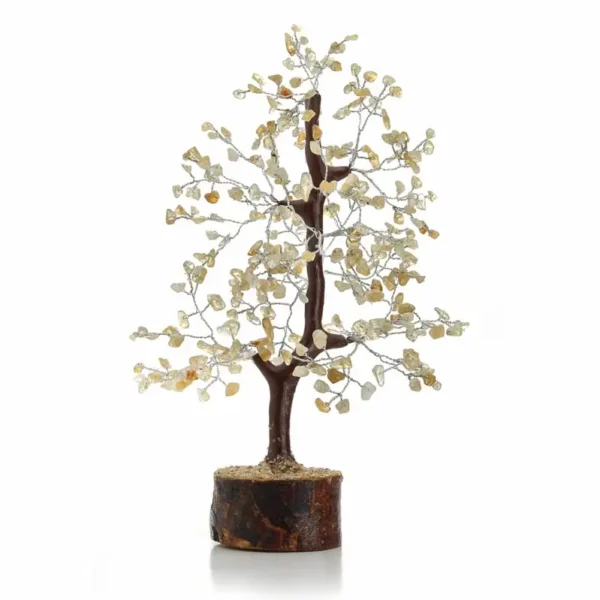 Citrienboom